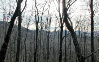 16 Wilderness Trl, Ellijay, GA 30540-0002