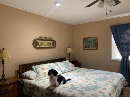 916 Chestnut St, Hico, TX 76457-6027
