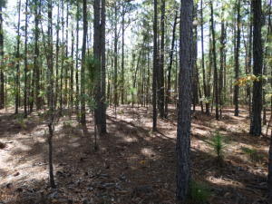 32 Wildlife Ln, Wagram, NC 28396