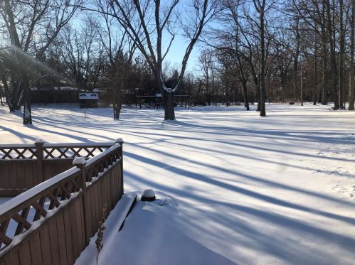 12516 83rd Ave, Palos Park, IL 60464-2023