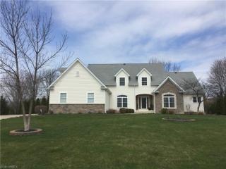 6726 Rosemarie Ct, Concord Township, OH 44077-5933