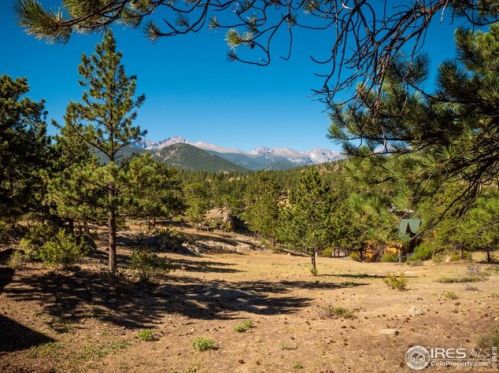 315 Big Horn Dr, Estes Park CO 80517-9004 exterior