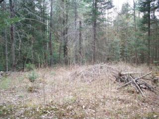 611 Goose Ln, Bath, NH 03740-4607