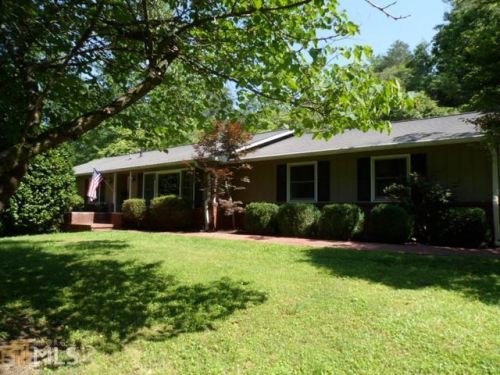980 Dooley Rd, Clarkesville, GA 30523-3393