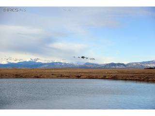 6941 Wildshore Dr, Timnath, CO 80547-4426