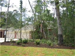 46 Rookwood Ct, Spring TX  77382-1466 exterior