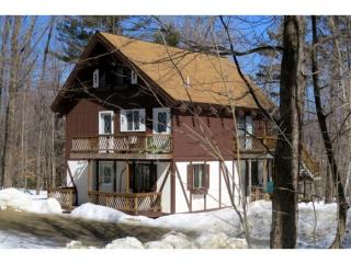 165 Okemo Acres, Grahamville VT  05149-4414 exterior