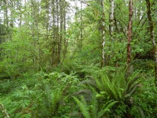 18 Tara Ln, Vader, WA 98593