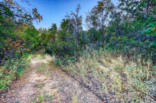 588 Coronado Dr, Deckers CO 80135-8316 exterior