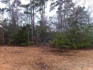 464 Deer Watch Cir, Longs, SC 29568-8921