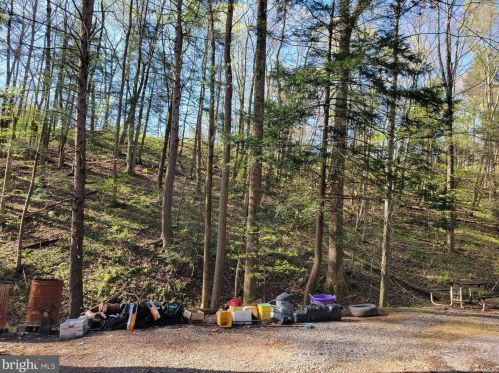 105 Cocolamus Creek Rd, Eshcol, PA 17062-9332