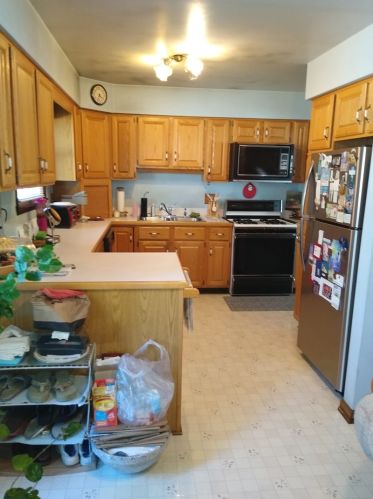 152 Larchmont Way, Lemont IL  60440-2669 exterior