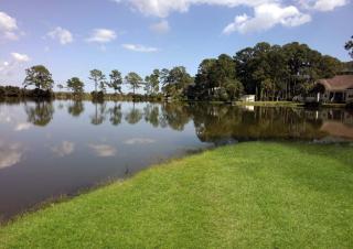 113 Brannen Dr, Savannah, GA 31410-1418