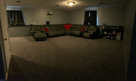 126 Diller St, Swygert IL  61764-2704 exterior