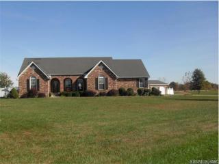 13501 Mehgan Ln, Grantfork, IL 62249-4881