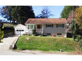 706 Mayflower Dr, Charleston WV  25311-1519 exterior