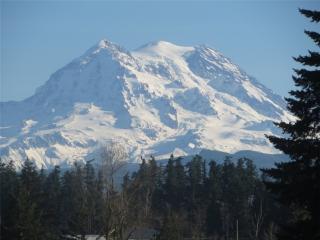 35121 58th Ave, Alder, WA 98328-8337
