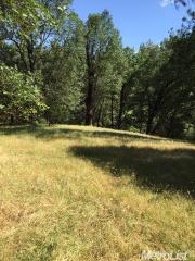 7089 Perry Creek Rd, Omo Ranch, CA 95684-9529