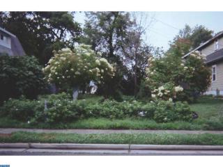 207 7th Ave, Glendora, NJ 08029-1523