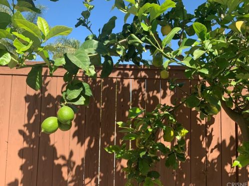 935 Cloverdale Dr, Anaheim CA  92808-1684 exterior