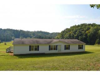 141 Ivy Ln, Greeneville, TN 37745-8813
