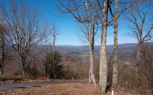 35 Double Knob Dr, Hayesville, NC 28904