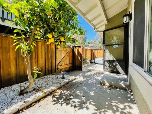 2915 Rose Ave, San Jose, CA 95127-2835