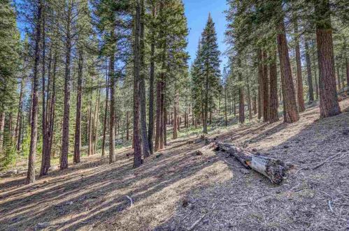 316 Skidder Trl, Truckee CA  96161-3927 exterior