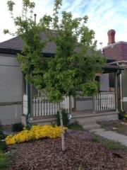3325 32nd Ave, Denver CO  80211-3101 exterior