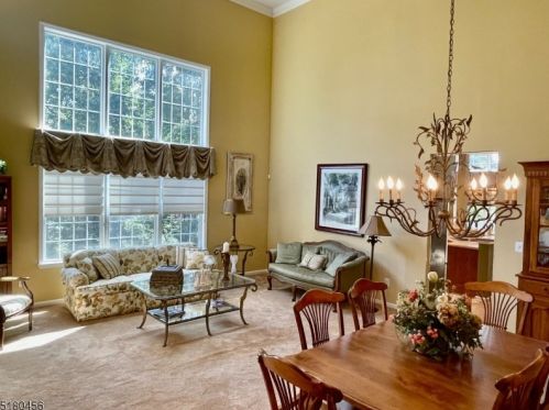 28 Young Ct, Chester, NJ 07930-2479