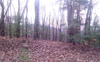 10 Liberty Ln, Ellijay, GA 30536-4407