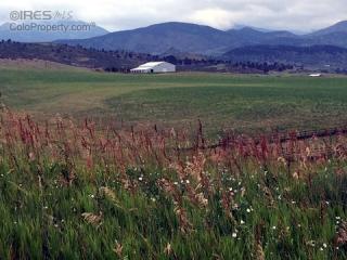 1751 Scenic Valley Dr, Loveland, CO 80537-9075