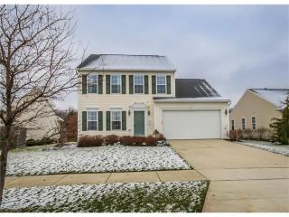 1603 Poplar Ln, Concord Township, OH 44077-6127