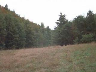 500 Laurel Run Rd, Dunmore, WV 24934