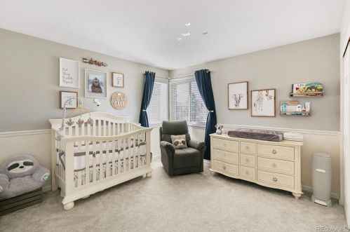 10652 Stoneflower Dr, Parker CO 80134-9586 exterior