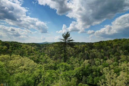 800 Mango Ln, Ellijay, GA 30540-0056
