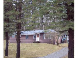 145 Indian Pond Rd, Piermont, NH 03779-3408