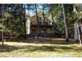 427 Will Stutley Dr, Divide, CO 80814-9207