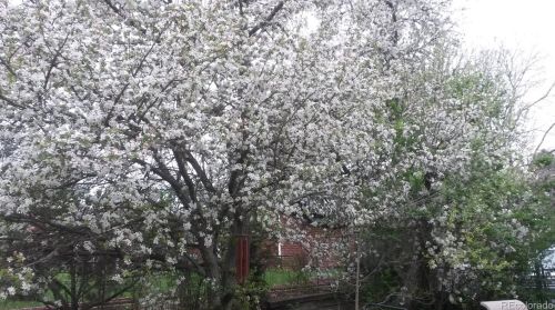 180 Estes St, Denver CO  80215-1791 exterior