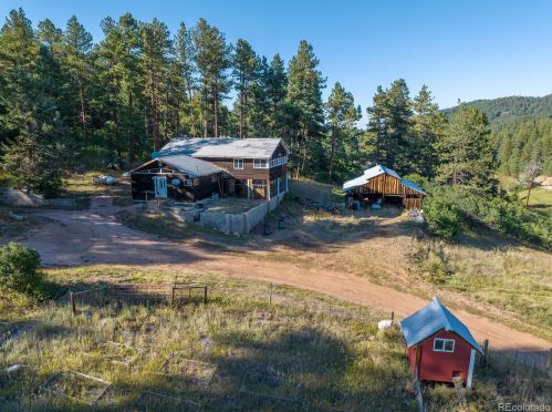 255 County Highway 67, Deckers CO  80135-9443 exterior