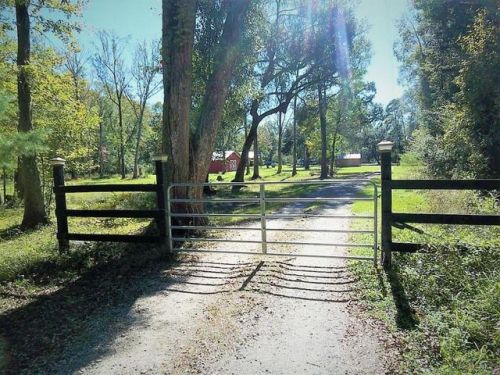 113 Nesmith Ln, Ridgeville, SC 29472-6510