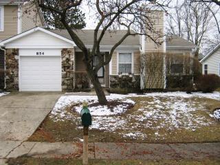 854 Colony Lake Dr, Schaumburg, IL 60194-1306