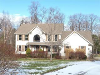 13725 Piney Hollow Ln, Concord Township, OH 44077-8723