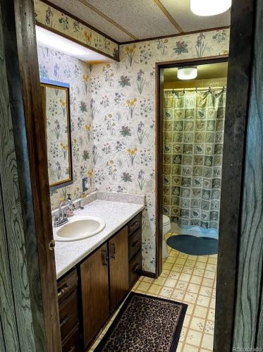 588 Coronado Dr, Deckers CO 80135-8316 exterior