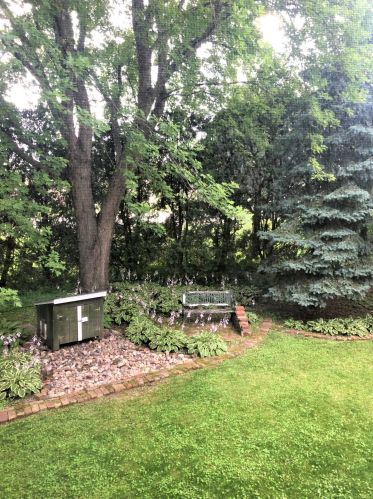 20 1st Ave, Plainview MN  55964-1406 exterior