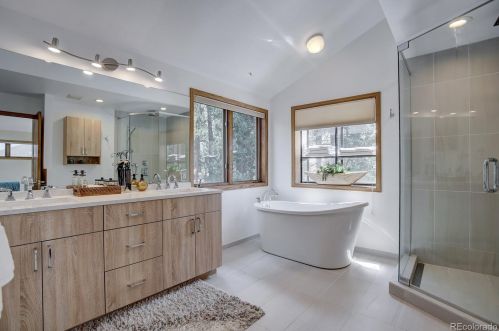 3913 Mountainside Trl, Lakewood CO exterior