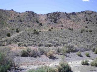 1250 Freds Mountain Rd, Reno, NV 89508-7353