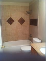 3607 Mount Ouray St, Wellington CO  80549-2217 exterior