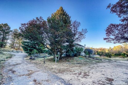 588 Coronado Dr, Deckers CO 80135-8316 exterior