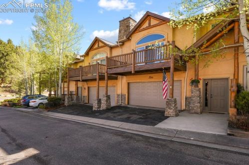 133 Elk Grove Ln, Woodland Park CO 80863-9171 exterior